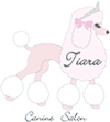 Canine Salon Tiara